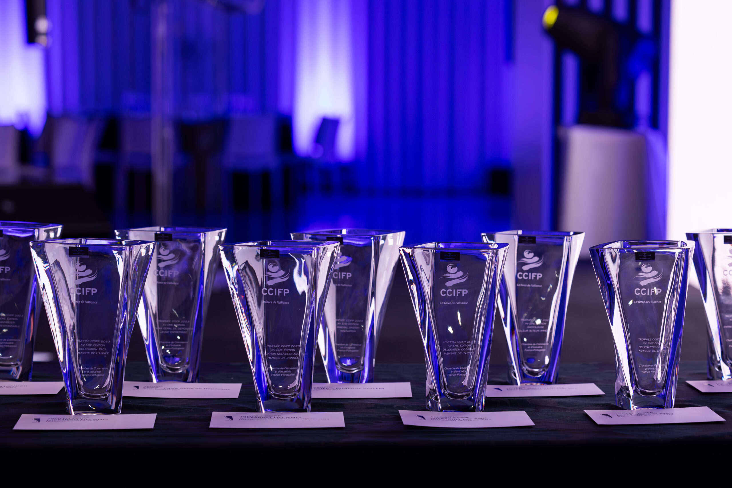 CANDIDATURE POUR LES TROPHEES DU GALA DU 20ᵉ ANNIVERSAIRE DE LA CCIFP