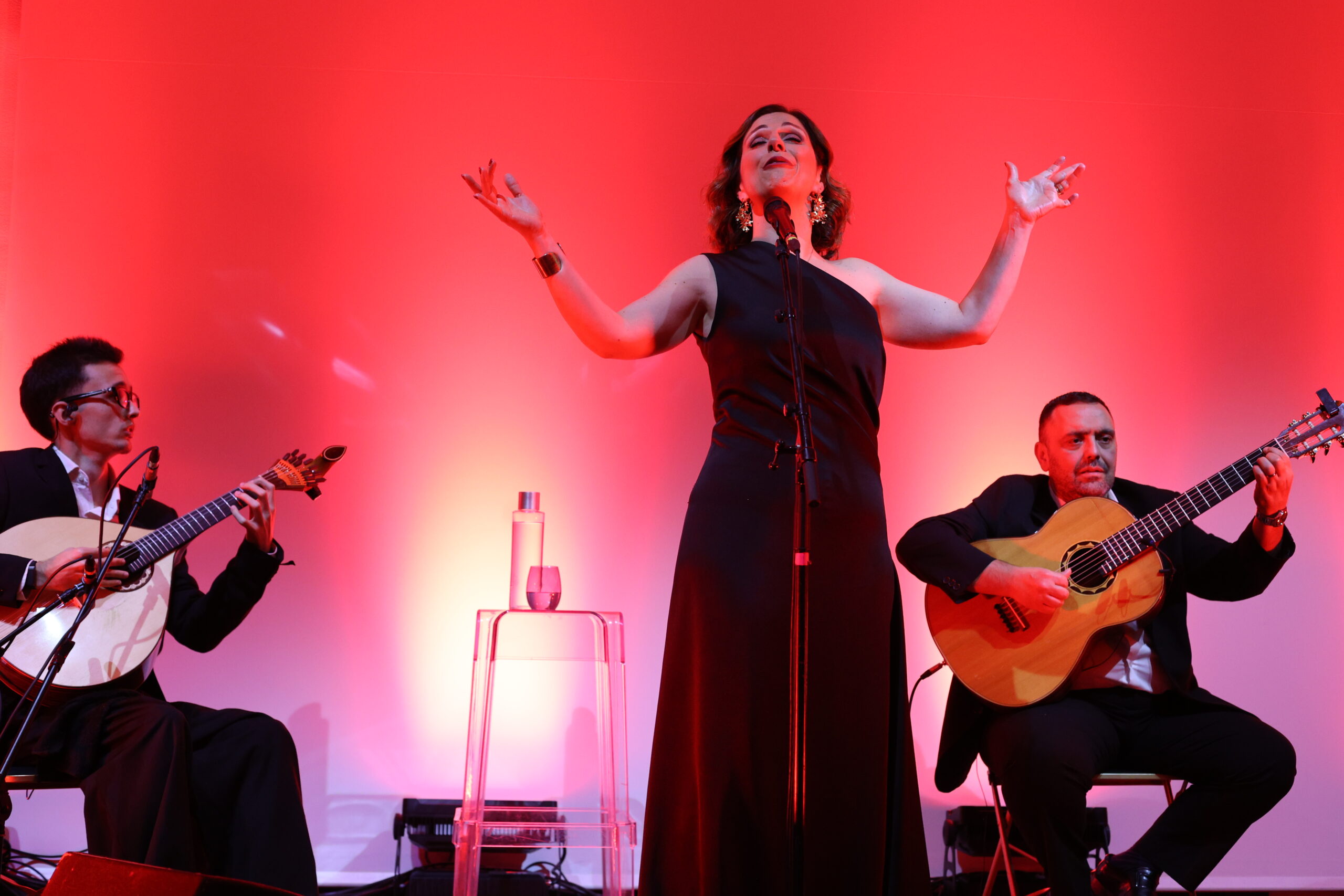 Gala de la CCIFP 2025 – Concert de Katia Guerreiro